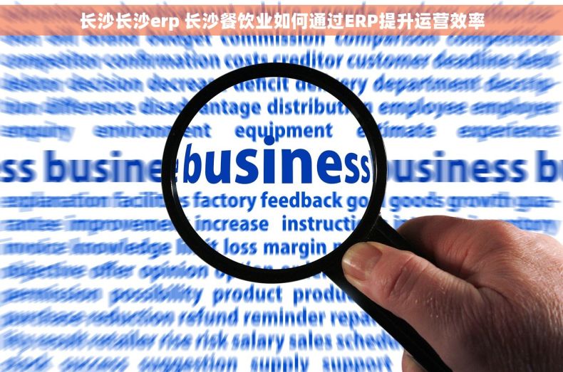 长沙长沙erp 长沙餐饮业如何通过ERP提升运营效率