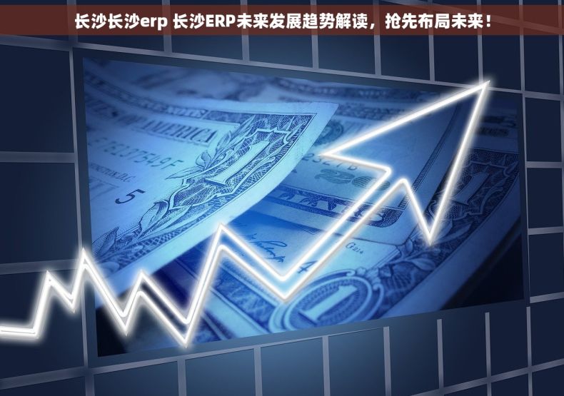 长沙长沙erp 长沙ERP未来发展趋势解读，抢先布局未来！