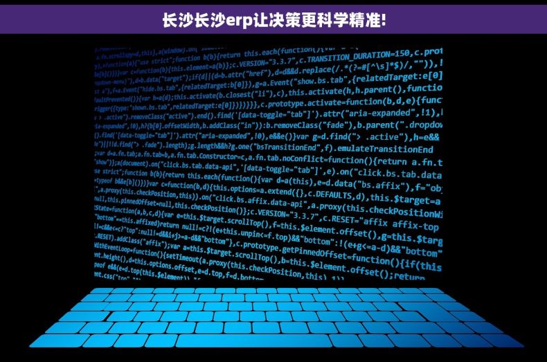 长沙长沙erp让决策更科学精准!