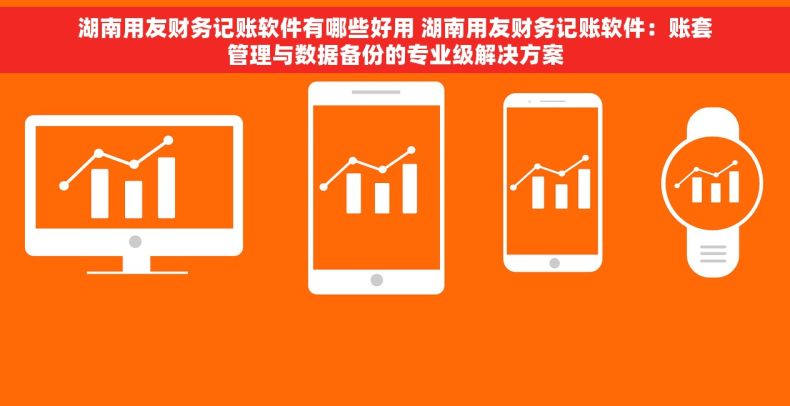 湖南用友财务记账软件有哪些好用 湖南用友财务记账软件：账套管理与数据备份的专业级解决方案