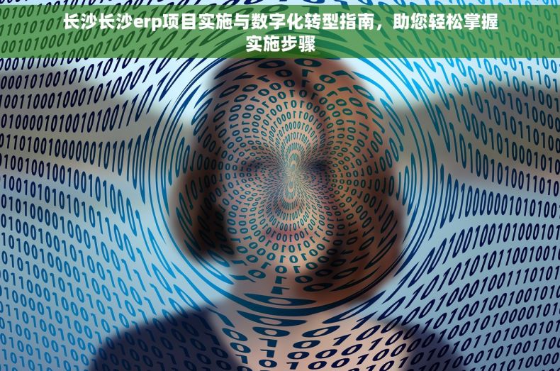 长沙长沙erp项目实施与数字化转型指南，助您轻松掌握实施步骤