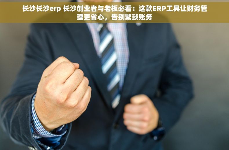 长沙长沙erp 长沙创业者与老板必看：这款ERP工具让财务管理更省心，告别繁琐账务