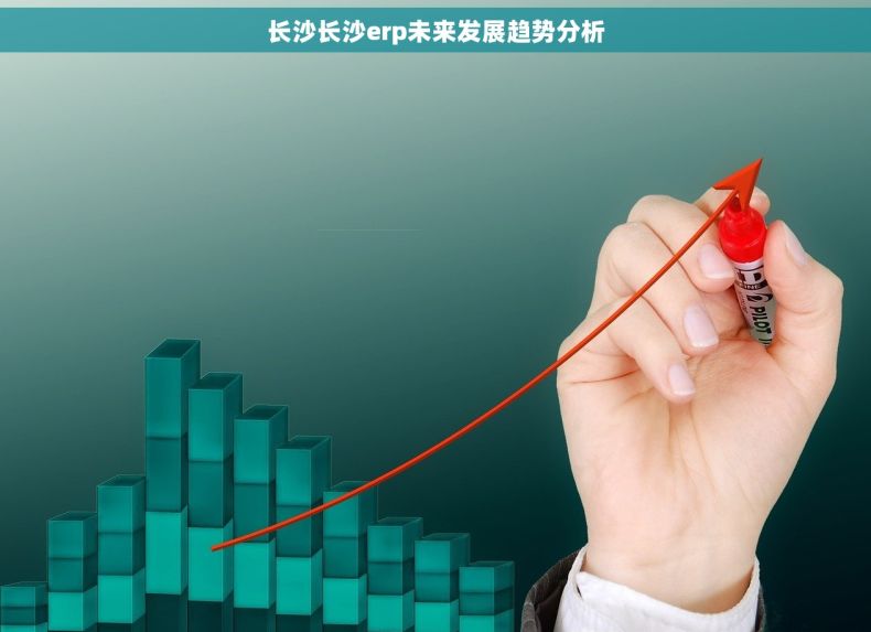 长沙长沙erp未来发展趋势分析