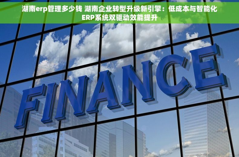 湖南erp管理多少钱 湖南企业转型升级新引擎：低成本与智能化ERP系统双驱动效能提升