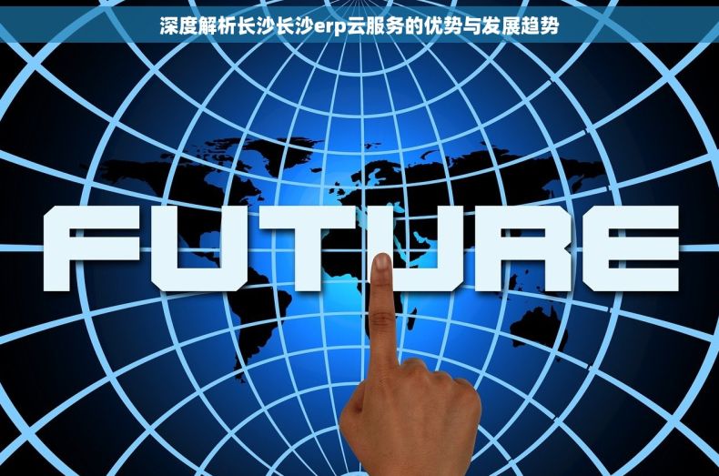 深度解析长沙长沙erp云服务的优势与发展趋势