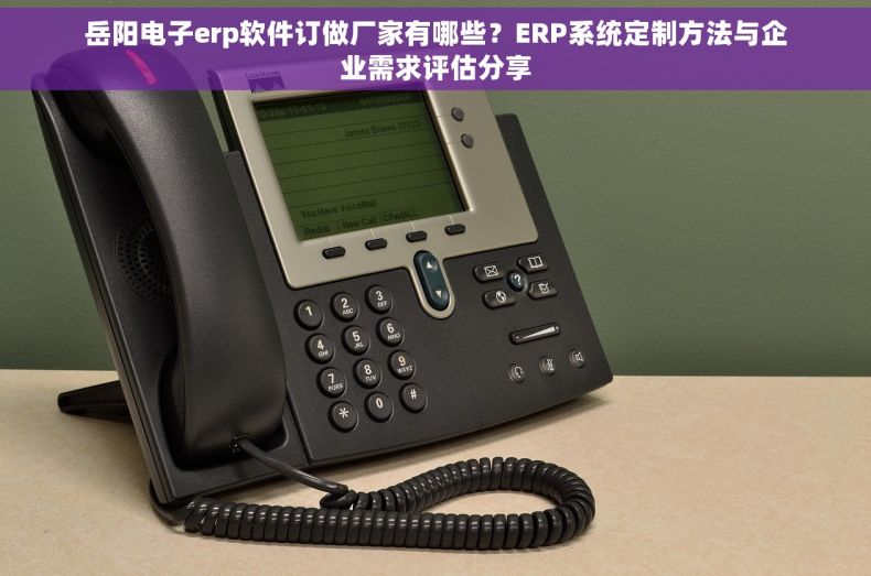 岳阳电子erp软件订做厂家有哪些？ERP系统定制方法与企业需求评估分享