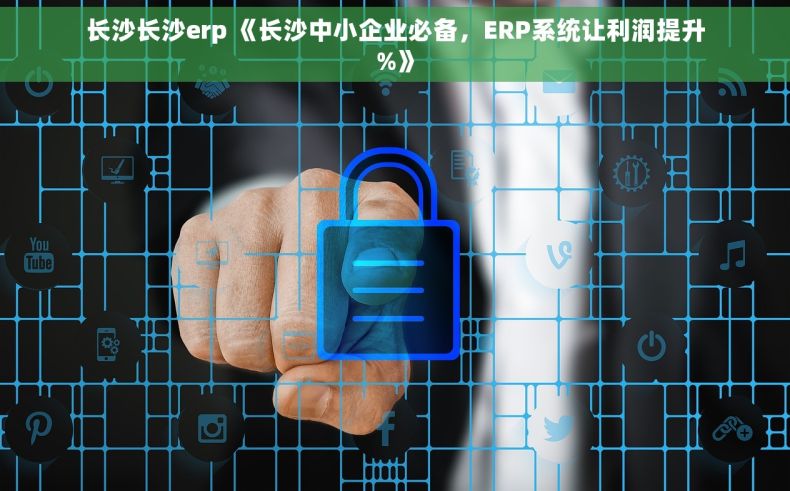 长沙长沙erp 《长沙中小企业必备，ERP系统让利润提升%》