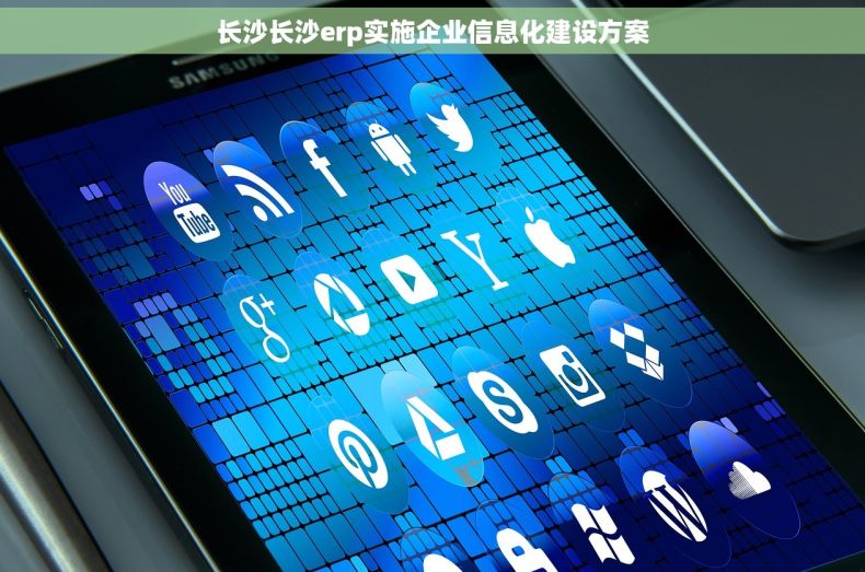 长沙长沙erp实施企业信息化建设方案