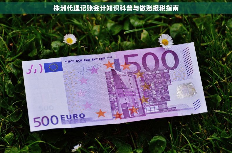株洲代理记账会计知识科普与做账报税指南