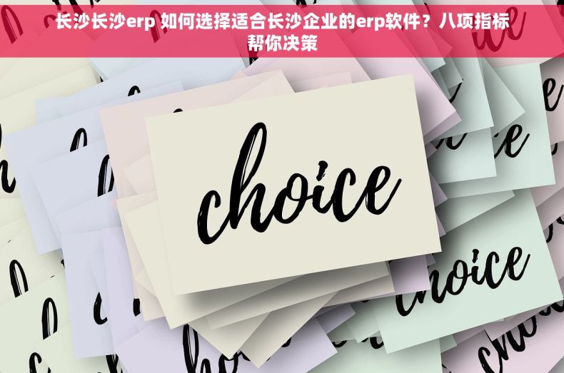 长沙长沙erp 如何选择适合长沙企业的erp软件？八项指标帮你决策