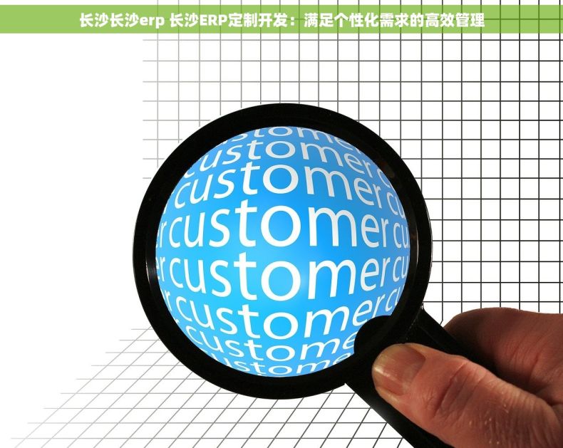长沙长沙erp 长沙ERP定制开发：满足个性化需求的高效管理