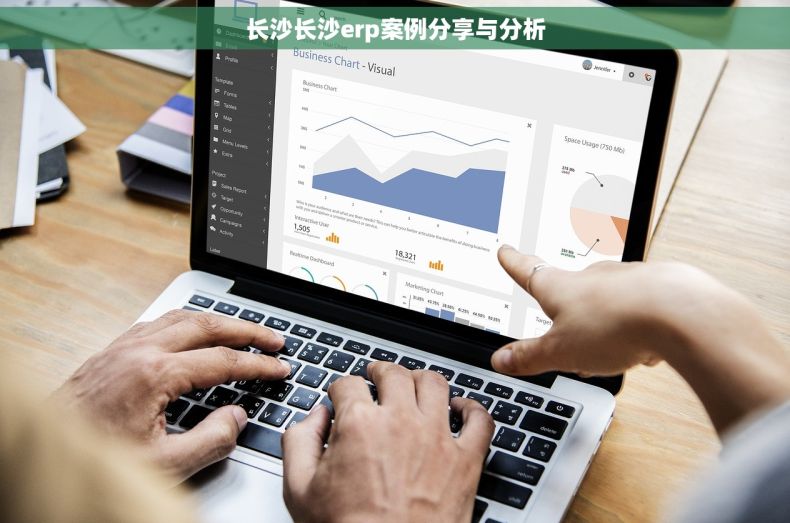 长沙长沙erp案例分享与分析