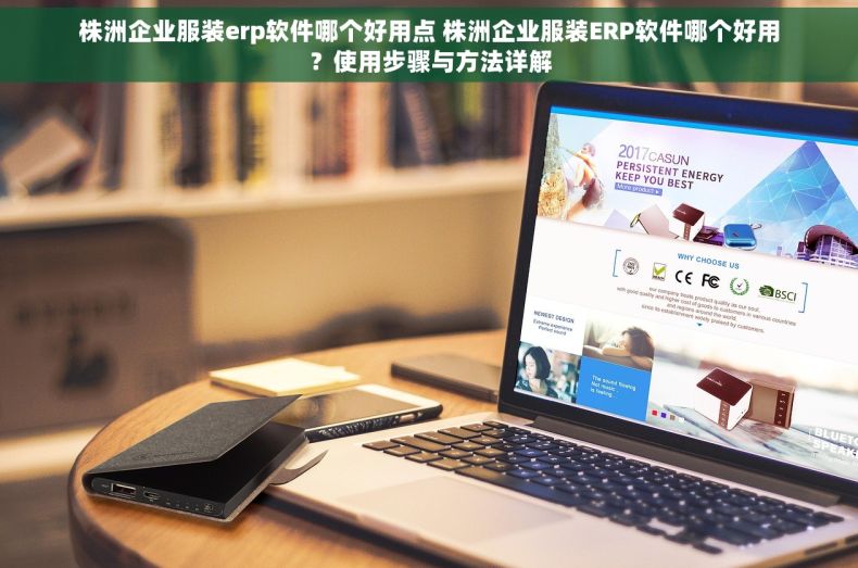 株洲企业服装erp软件哪个好用点 株洲企业服装ERP软件哪个好用？使用步骤与方法详解