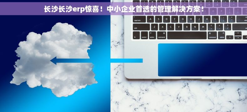 长沙长沙erp惊喜！中小企业首选的管理解决方案！