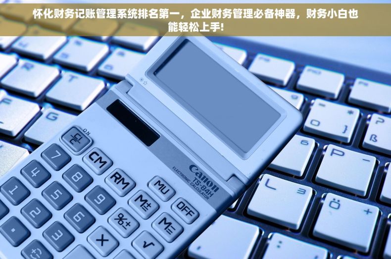 怀化财务记账管理系统排名第一，企业财务管理必备神器，财务小白也能轻松上手!