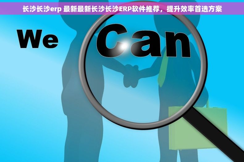 长沙长沙erp 最新最新长沙长沙ERP软件推荐，提升效率首选方案