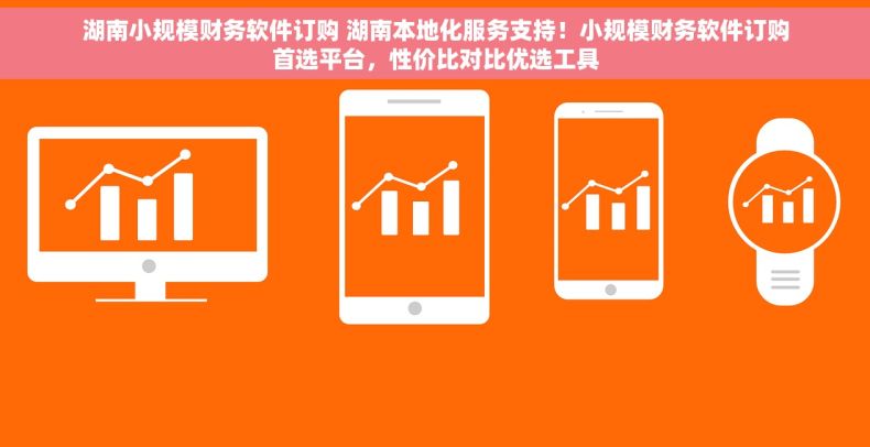 湖南小规模财务软件订购 湖南本地化服务支持！小规模财务软件订购首选平台，性价比对比优选工具