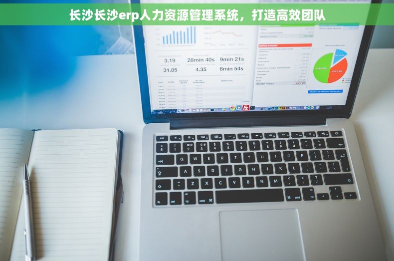 长沙长沙erp人力资源管理系统，打造高效团队