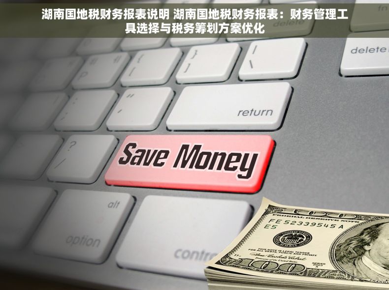 湖南国地税财务报表说明 湖南国地税财务报表：财务管理工具选择与税务筹划方案优化