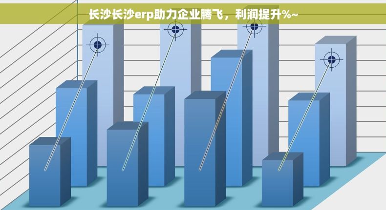 长沙长沙erp助力企业腾飞，利润提升%~