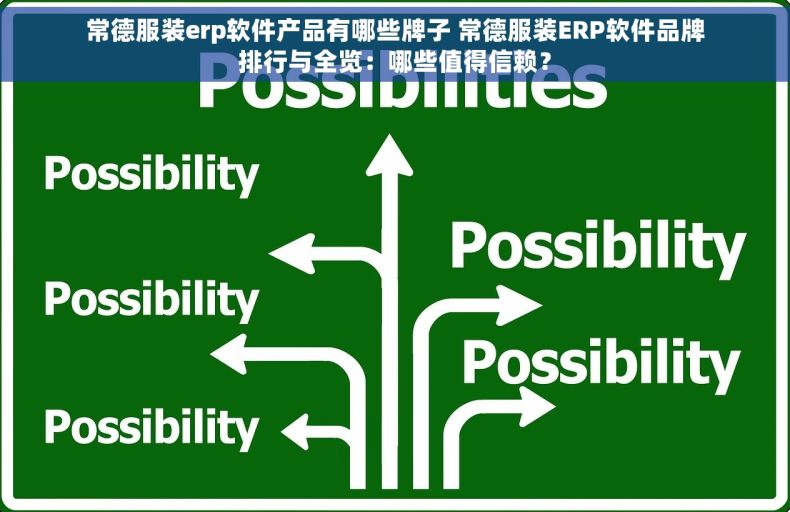 常德服装erp软件产品有哪些牌子 常德服装ERP软件品牌排行与全览：哪些值得信赖？