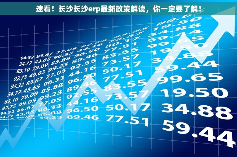 速看！长沙长沙erp最新政策解读，你一定要了解！