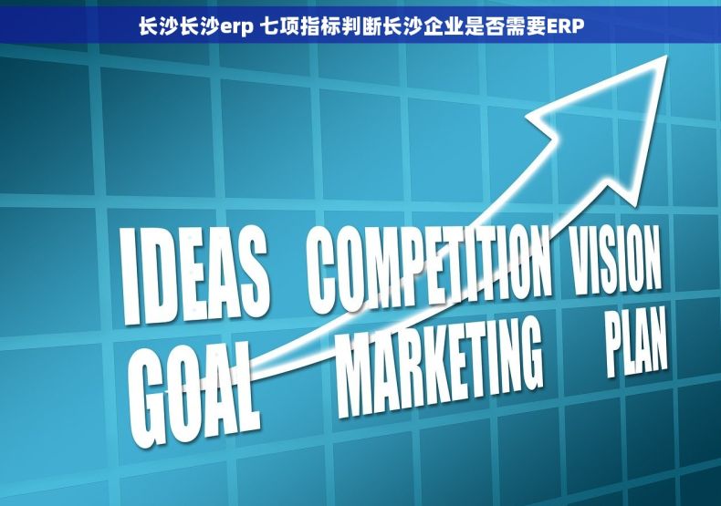 长沙长沙erp 七项指标判断长沙企业是否需要ERP