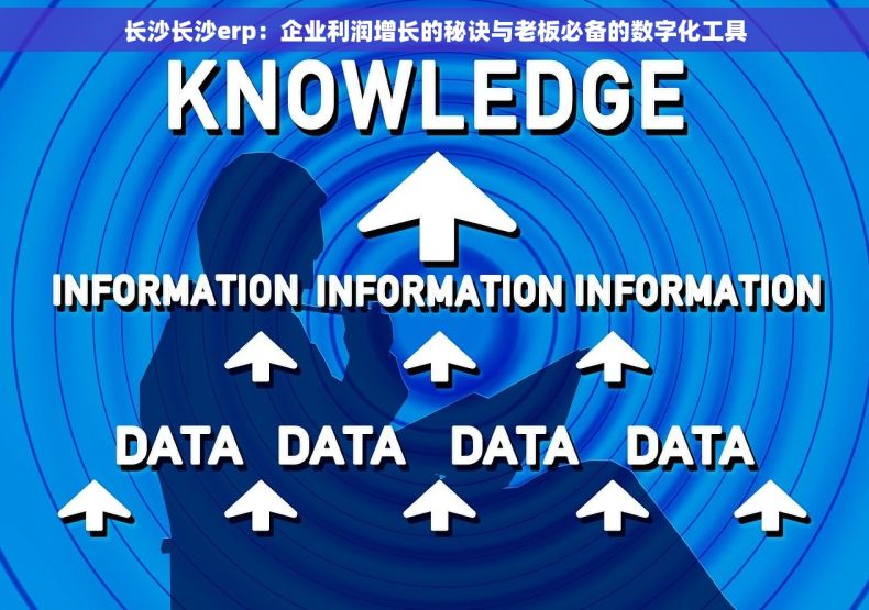 长沙长沙erp：企业利润增长的秘诀与老板必备的数字化工具