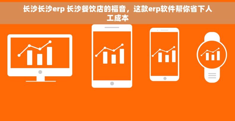 长沙长沙erp 长沙餐饮店的福音，这款erp软件帮你省下人工成本