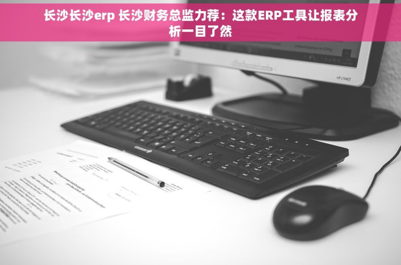 长沙长沙erp 长沙财务总监力荐：这款ERP工具让报表分析一目了然