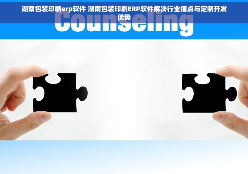 湖南包装印刷erp软件 湖南包装印刷ERP软件解决行业痛点与定制开发优势