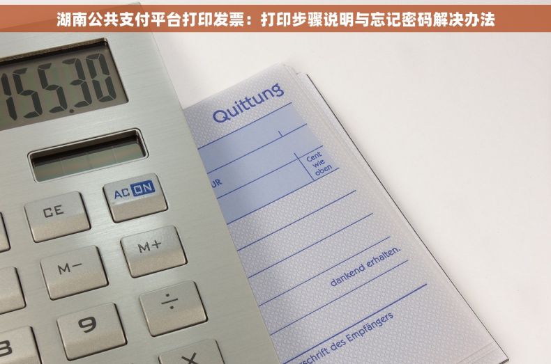 湖南公共支付平台打印发票：打印步骤说明与忘记密码解决办法