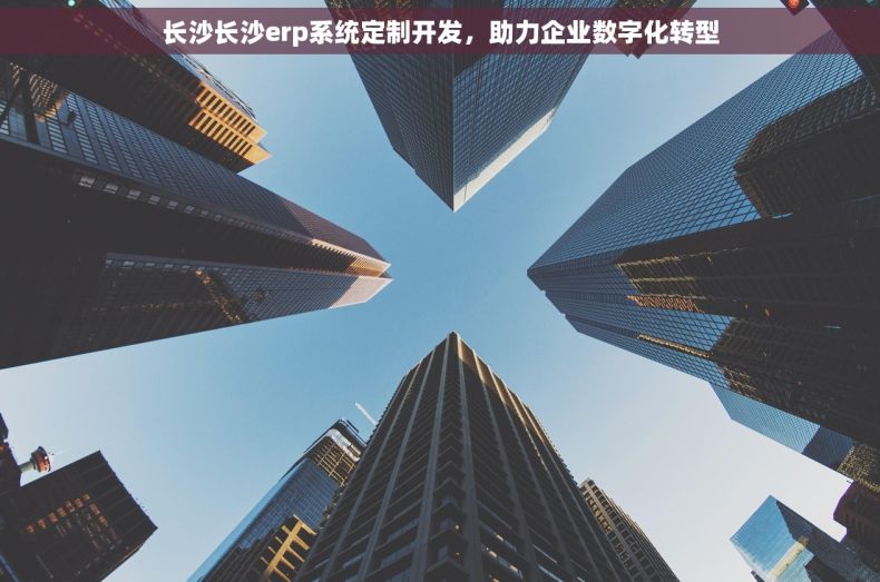 长沙长沙erp系统定制开发，助力企业数字化转型