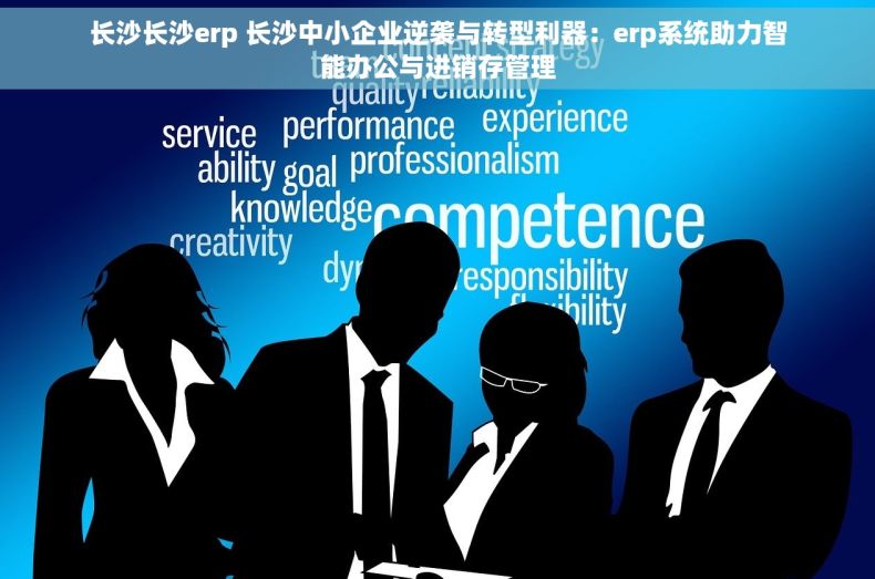 长沙长沙erp 长沙中小企业逆袭与转型利器：erp系统助力智能办公与进销存管理