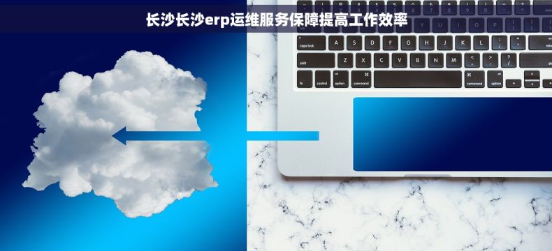 长沙长沙erp运维服务保障提高工作效率