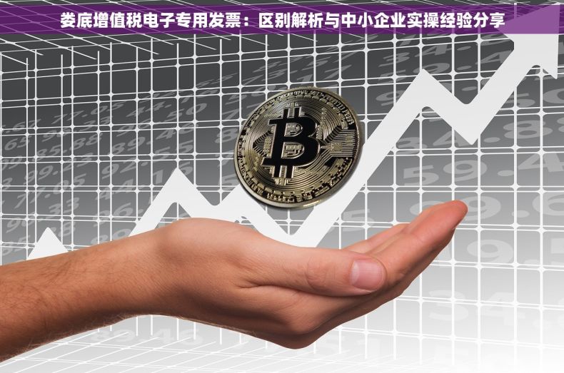 娄底增值税电子专用发票：区别解析与中小企业实操经验分享