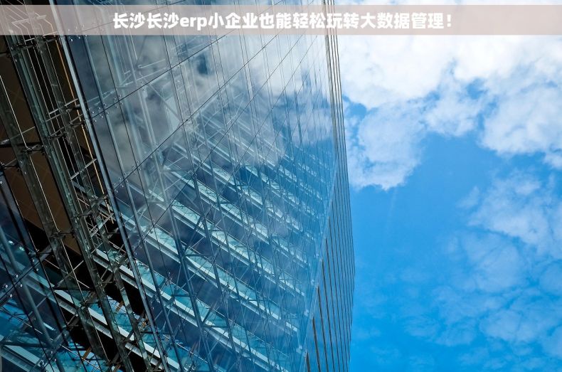 长沙长沙erp小企业也能轻松玩转大数据管理！