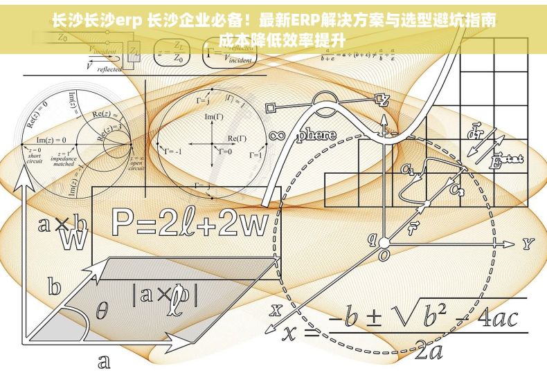 长沙长沙erp 长沙企业必备！最新ERP解决方案与选型避坑指南，成本降低效率提升