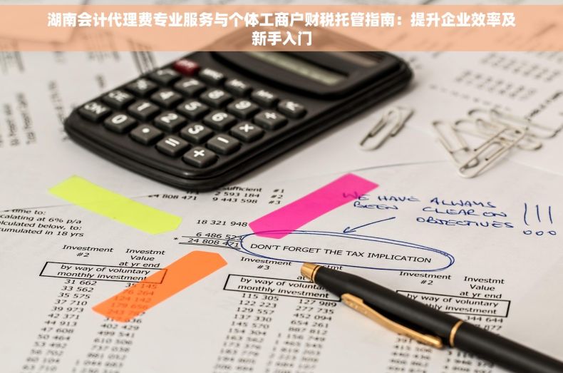 湖南会计代理费专业服务与个体工商户财税托管指南：提升企业效率及新手入门