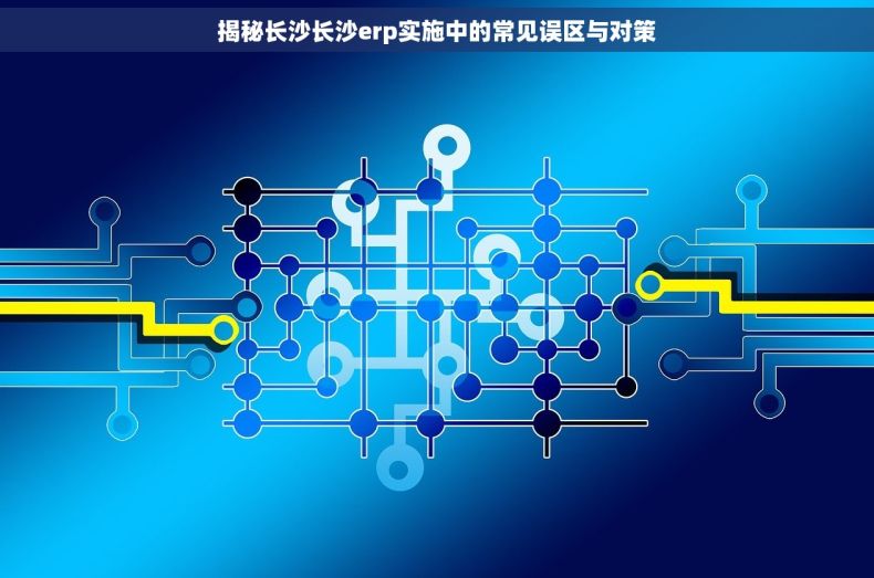 揭秘长沙长沙erp实施中的常见误区与对策