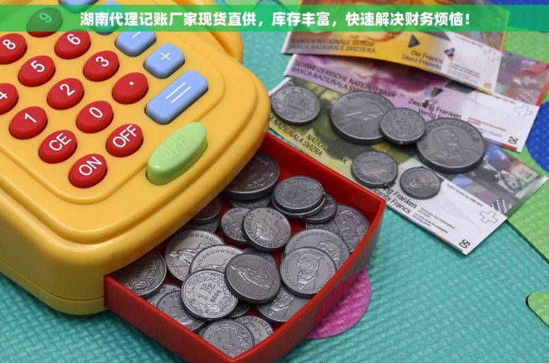 湖南代理记账厂家现货直供，库存丰富，快速解决财务烦恼！