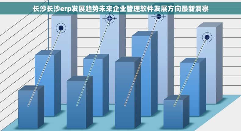 长沙长沙erp发展趋势未来企业管理软件发展方向最新洞察