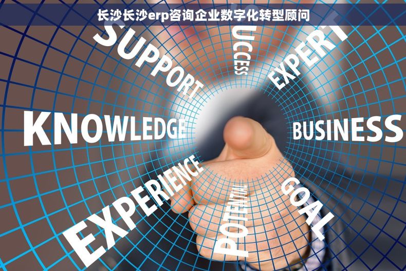 长沙长沙erp咨询企业数字化转型顾问
