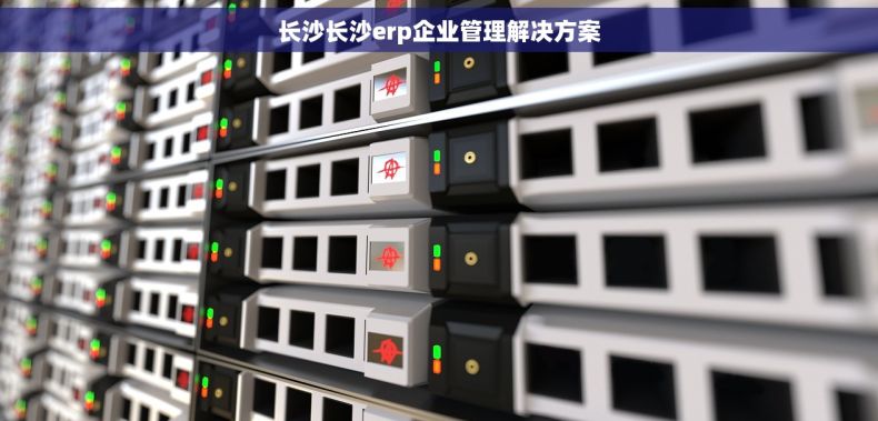 长沙长沙erp企业管理解决方案
