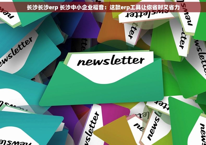 长沙长沙erp 长沙中小企业福音：这款erp工具让你省时又省力