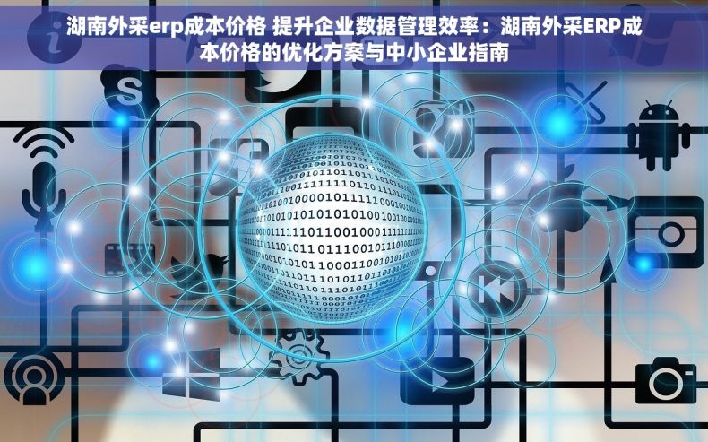 湖南外采erp成本价格 提升企业数据管理效率：湖南外采ERP成本价格的优化方案与中小企业指南