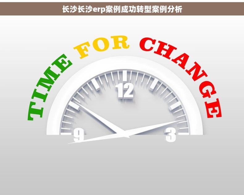 长沙长沙erp案例成功转型案例分析