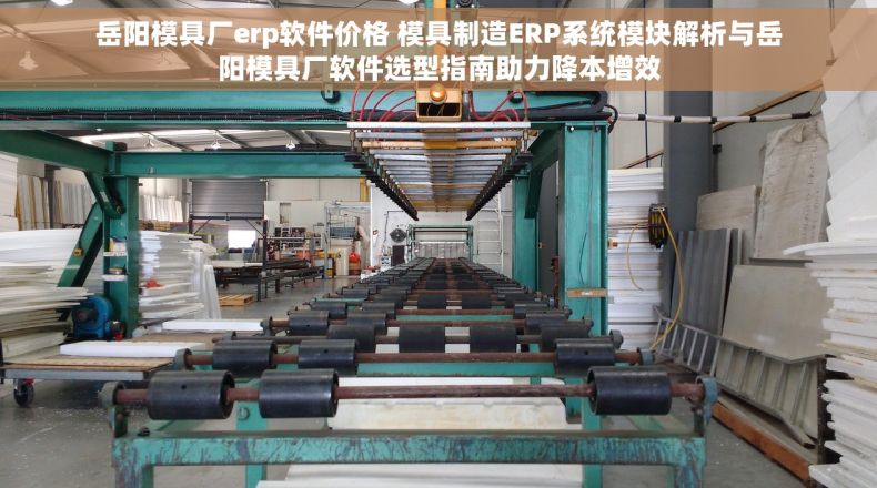 岳阳模具厂erp软件价格 模具制造ERP系统模块解析与岳阳模具厂软件选型指南助力降本增效