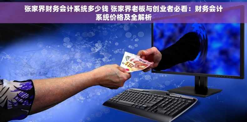 张家界财务会计系统多少钱 张家界老板与创业者必看：财务会计系统价格及全解析