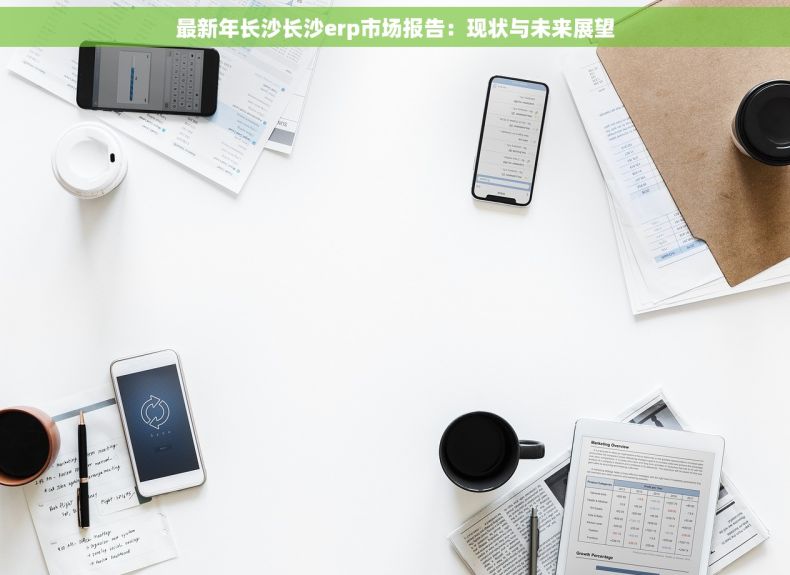 最新年长沙长沙erp市场报告：现状与未来展望